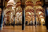 The Cathedral of Cordoba, the ancient Mezquita, interior 