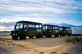 Coto Donana, safari con i camion 4x4 organizzati dal Parco 