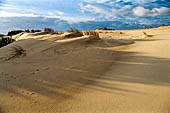 Coto Donana, la fascia di dune mobili che separa il rio Guadalquivir dal mare. 