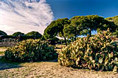 Coto Donana, l'antico villaggio di La Plancha con le caratteristiche chozas dal tetto di giunco.