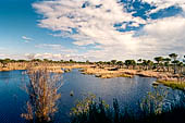 Coto Donana. La zona delle marismas.