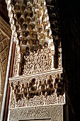 Alhambra  Carved stucco ornament