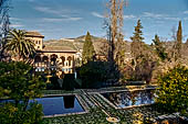 Alhambra  Jardines and Palacio del Partal 