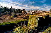 Alhambra  View from the Generalife 