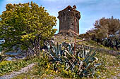 Cap Corse, la costa occidentale, la torre di Nonza