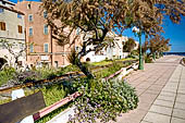 Ile Rousse - Promenade della Marinella 