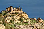 Agrigento, la valle dei templi, il tempio di Era Lacinia (Giunone)