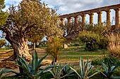 Agrigento, la valle dei templi, il tempio di Era Lacinia (Giunone)