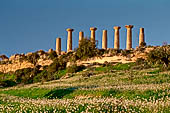 Agrigento, la valle dei templi, il tempio di Ercole