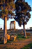 Agrigento, la valle dei templi, il tempio di Castore e Polluce