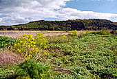 Lago di Pergusa 