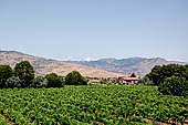 Mount Etna. The countryside at the foot of the vulcano near Randazzo. 