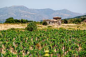 Mount Etna. The countryside at the foot of the vulcano near Randazzo. 