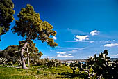 Parco archeologico di Mozia, Stagnone di Marsala.