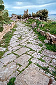 Dougga, strada lastricata che porta all'arco di Settimo Severo. 