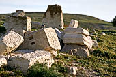 Dougga, un Moussier Redstart tra le antiche pietre. 