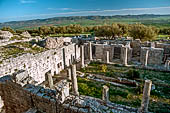 Dougga, la casa del trifoglio. 