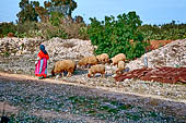 Dal treno verso Sousse