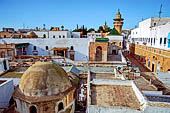 Tunisi, la medina, dalla terrazza del Museo dei Turchi si intravedono i minareti della moschea di Sidi Youssef Dey e della moschea della Kasbah. 