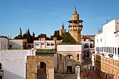 Tunisi, la medina, dalla terrazza del Museo dei Turchi si intravede la moschea di Sidi Youssef Dey. 