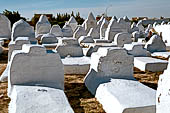 Kairouan, il cimitero di Ouled Farhane e la grande moschea. 