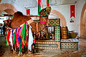 Kairouan, la medina. Il dromedario bendato che gira la noria del leggendario pozzo Bir Barouta.