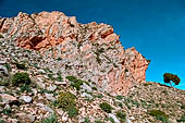 Sentiero lungo l'altopiano di Sidi Mansour, presso Le Kef. Le rocce del sinclinale che orla l'altopiano.