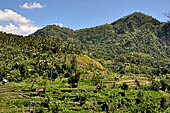 The road to Amed has spectacular scenery with views of rice paddies and plantations around Gunung Lempuyang.