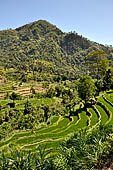 The road to Amed has spectacular scenery with views of rice paddies and plantations around Gunung Lempuyang.