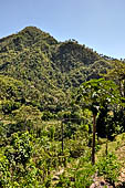 The road to Amed has spectacular scenery with views of rice paddies and plantations around Gunung Lempuyang.