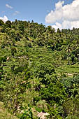 The road to Amed has spectacular scenery with views of rice paddies and plantations around Gunung Lempuyang.