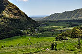 The road to Amed has spectacular scenery with views of rice paddies and plantations around Gunung Lempuyang.