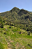 The road to Amed has spectacular scenery with views of rice paddies and plantations around Gunung Lempuyang.