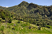 The road to Amed has spectacular scenery with views of rice paddies and plantations around Gunung Lempuyang.