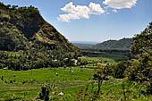 The road to Amed has spectacular scenery with views of rice paddies and plantations around Gunung Lempuyang.