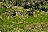 The road to Amed has spectacular scenery with views of rice paddies and plantations around Gunung Lempuyang.