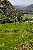 The road to Amed has spectacular scenery with views of rice paddies and plantations around Gunung Lempuyang.