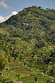 The road to Amed has spectacular scenery with views of rice paddies and plantations around Gunung Lempuyang.