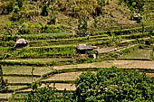 The road to Amed has spectacular scenery with views of rice paddies and plantations around Gunung Lempuyang.