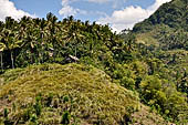 The road to Amed has spectacular scenery with views of rice paddies and plantations around Gunung Lempuyang.