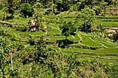 The road to Amed has spectacular scenery with views of rice paddies and plantations around Gunung Lempuyang.