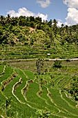 The road to Amed has spectacular scenery with views of rice paddies and plantations around Gunung Lempuyang.