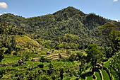 The road to Amed has spectacular scenery with views of rice paddies and plantations around Gunung Lempuyang.