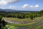 Rice fields on the road to Besakih temple.