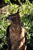 Bali Bird Park