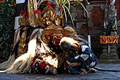 Barong Dance - the barong a mythical lion-like creature that is the king of good spirit, usually accompained by two monkeys. 