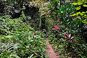 Goa Gajah - lush vegetation along the forest path.