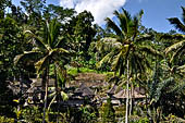 Gunung Kawi (Bali) - the landscape and environment where the temple is immersed.