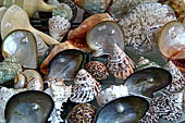 Pearl shop, Sanur Bali.