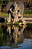 Tirtagangga, Bali - The south pond.